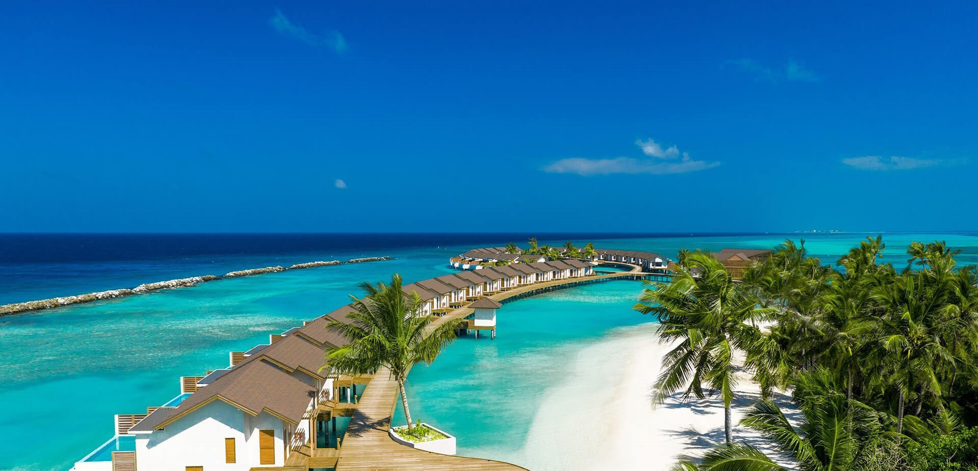 My Fare Flight Banner Image